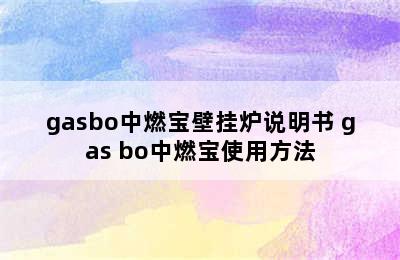 gasbo中燃宝壁挂炉说明书 gas bo中燃宝使用方法